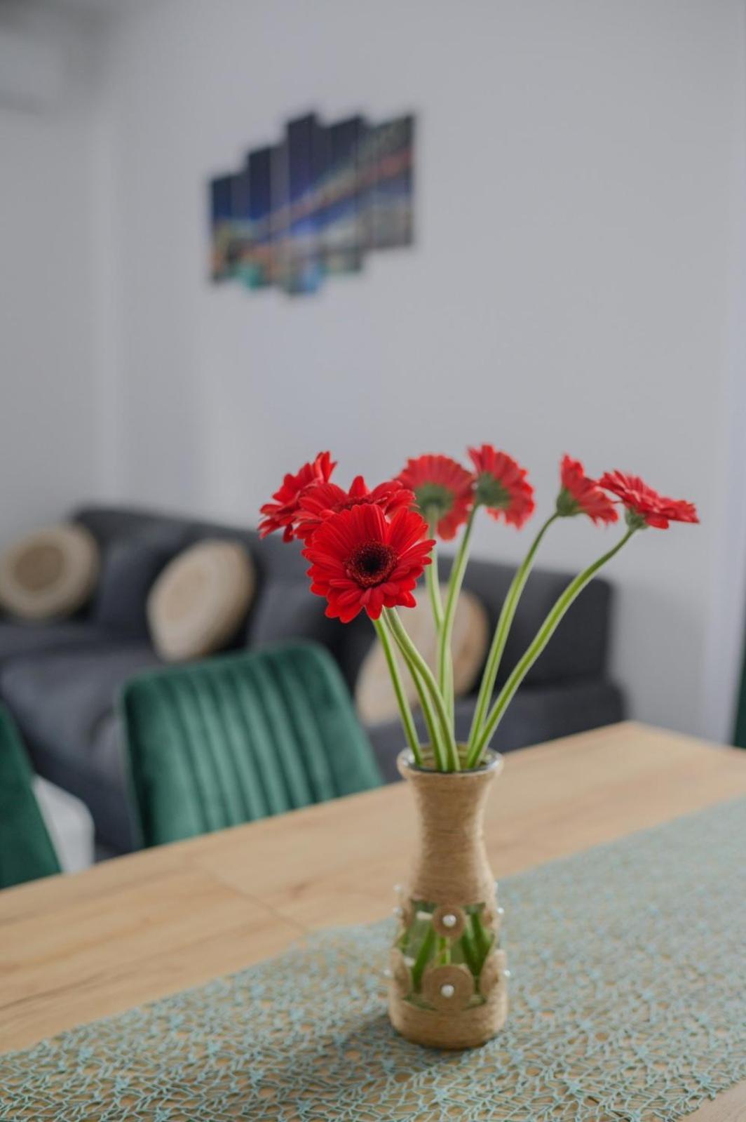 Apartament Radiana Băile Felix 外观 照片